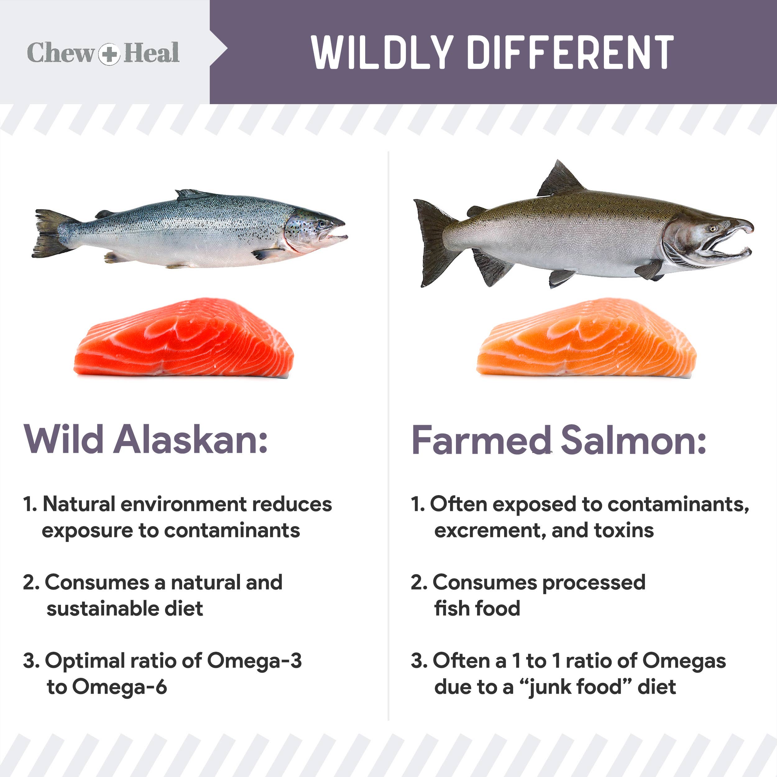 Chew + Heal - Wholesale Pet Treats - Dog - Senior Wild Alaskan Salmon Limited Ingredient Dog Treats7