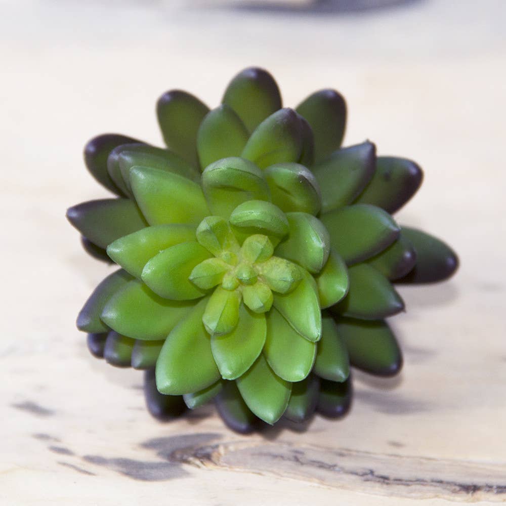 Chive - Wholesale Artificial Plant - Faux Succulent Terrarium Kit | Boho Home Decor Gift  SALE11
