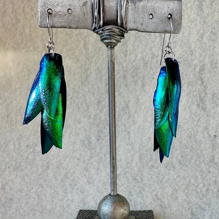 Isms – wholesale Dangle earrings – Green Real Beetle Wing Earrings - Wings of Invasive Elytra Beetles - Surgical Steel