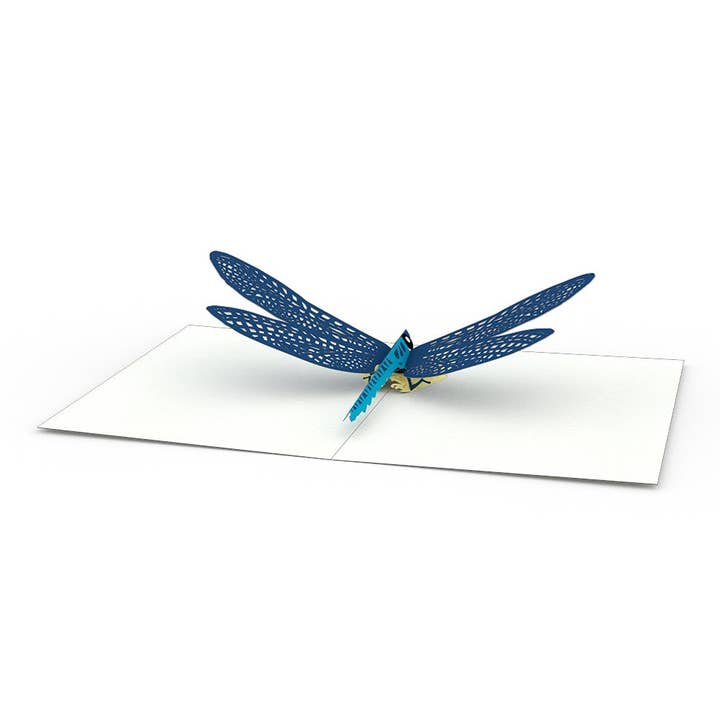 Lovepop Cards - Wholesale Everyday Greeting Card - Garden 3.75 "x5.125" Notecards (4-Pack), Pop-Up Cards