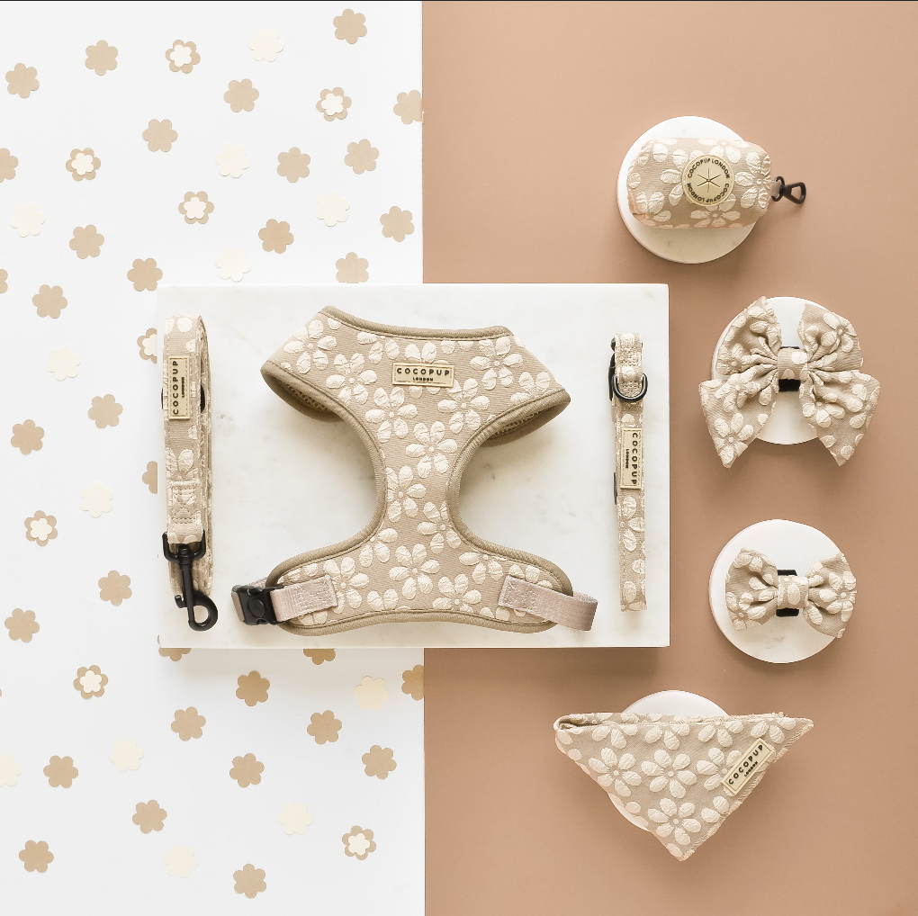 Cocopup London – Großhandel Leine – Hund – LUXE Lead - Mokkaflume1