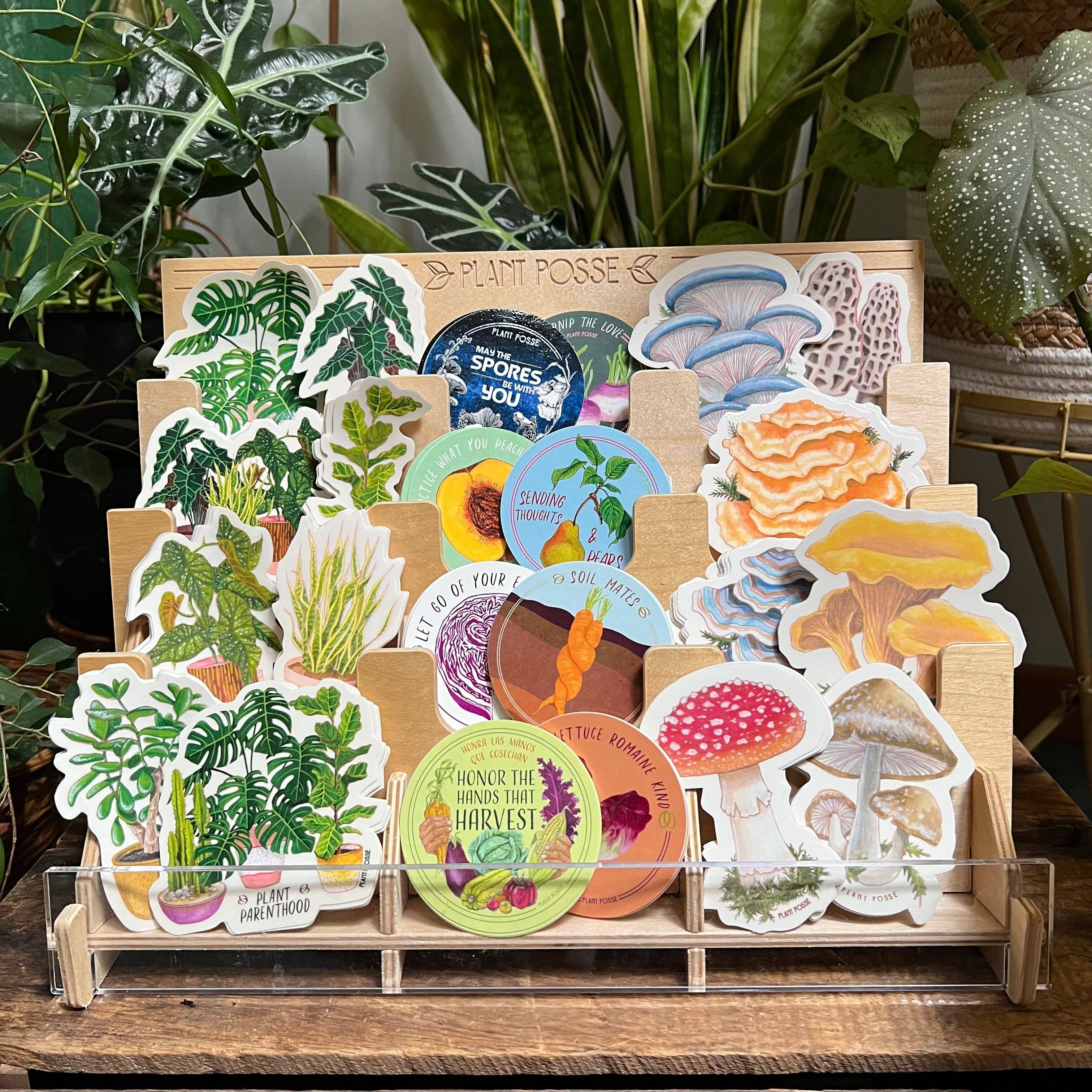 Plant Posse – wholesale Retailer display – Paper & novelty – Sticker Display2