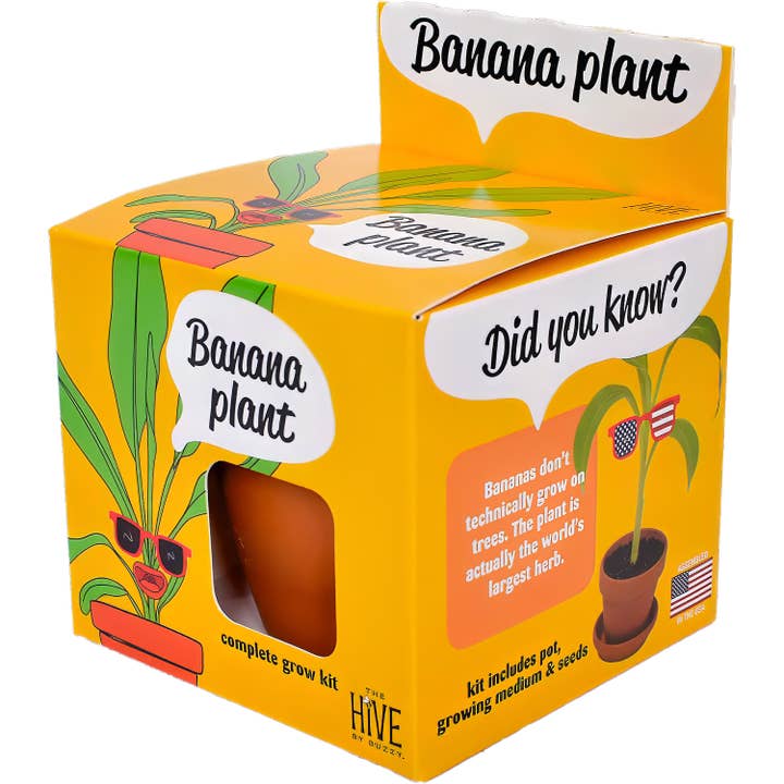 Buzzy Grow Gifts - Wholesale Plant Seeds - Exotic Banana Plant Grow Kit – Indoor Tropical Gift Set2
