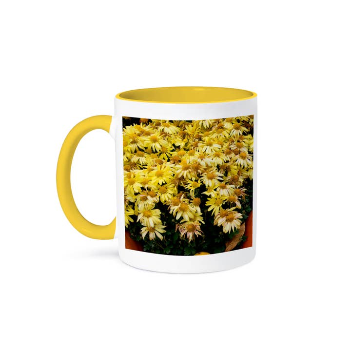 3dRose - Wholesale Coffee Mug - 3dRose, New York, Cooperstown, Farmers Museum. Decorative pumpkin display., Mug