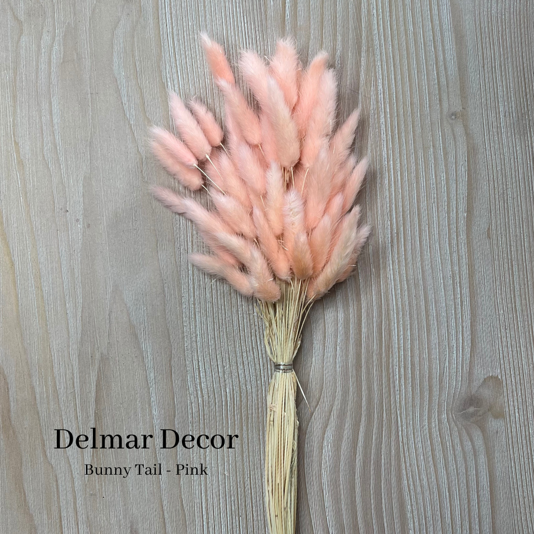 Delmar Decor – wholesale Torkade/pressade blommor – Torkad kanin svans, blommig inredning1