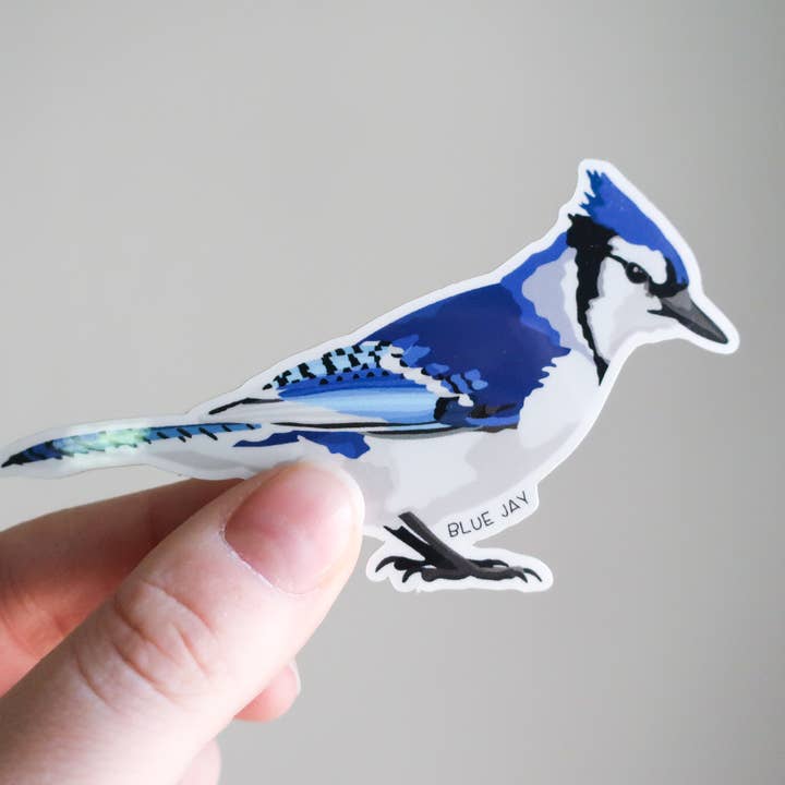Blue Jay Bird Waterproof Vinyl Sticker | Nature for wholesale by Beehive 95 Designs