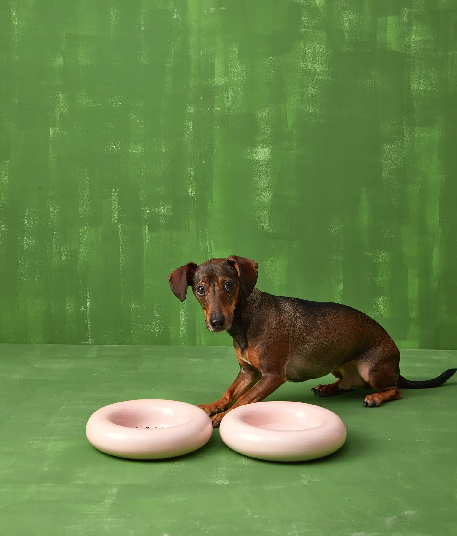 HotDog Pets - Wholesale Pet Bowl - Cat/Dog - Pink ceramic dog feeder3