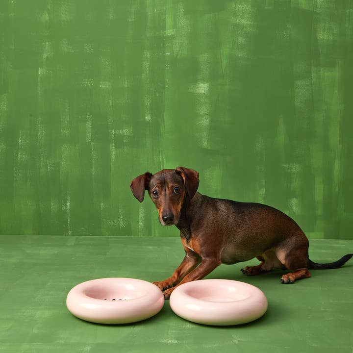 HotDog Pets - Wholesale Pet Bowl - Cat/Dog - Pink ceramic dog feeder3