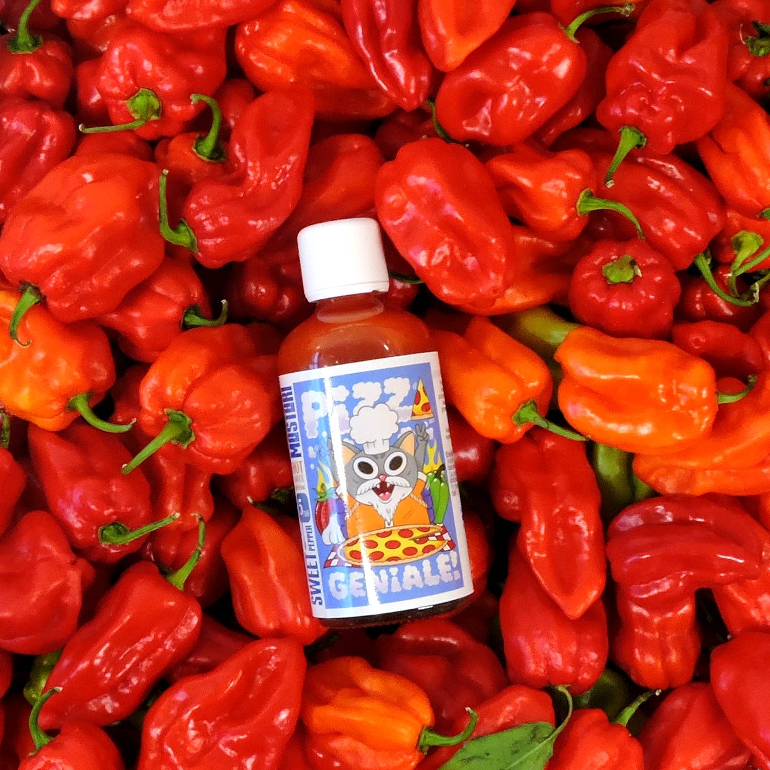 MASTARI - Wholesale Hot Sauce - 12X Box of PIZZA GENIALE Hot Sauce / 12X Hot sauce 🌶️1