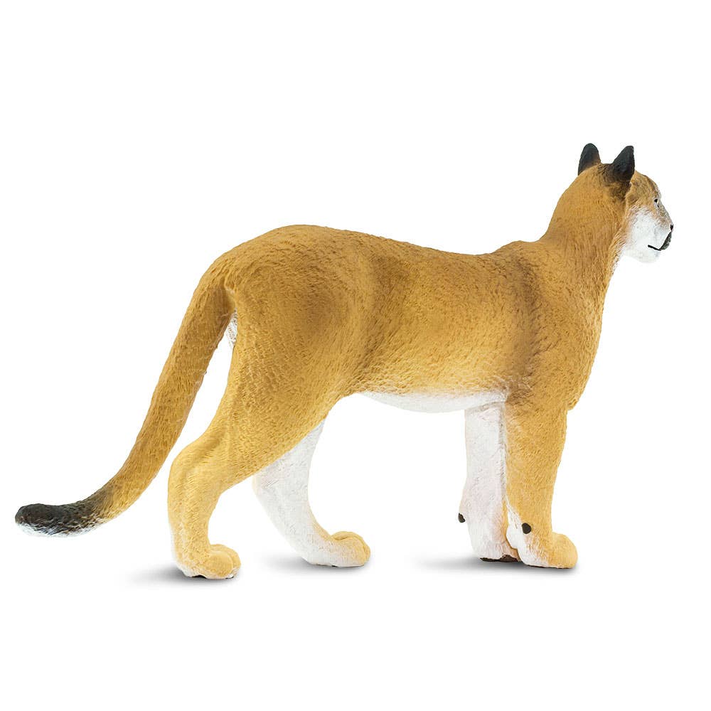 Safari Ltd. - Wholesale Figurine Toy - Kids - Florida Panther - 1001052