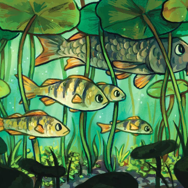 Fiskeskov - Print (to størrelser) for engroshandel hos JelArts