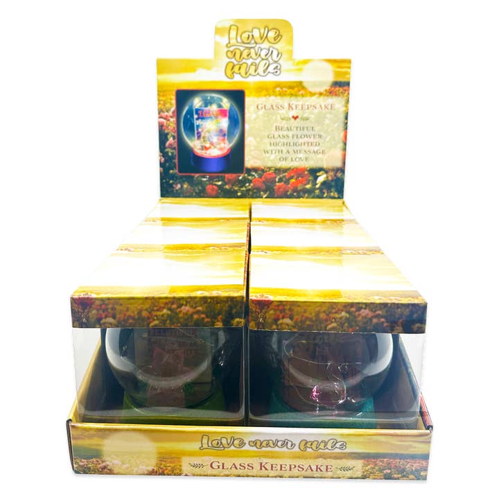 Novelty Brands - Wholesale Decorative Tabletop Object - Light Up Glass Globe Rose Keepsake Assortment- 6/Display