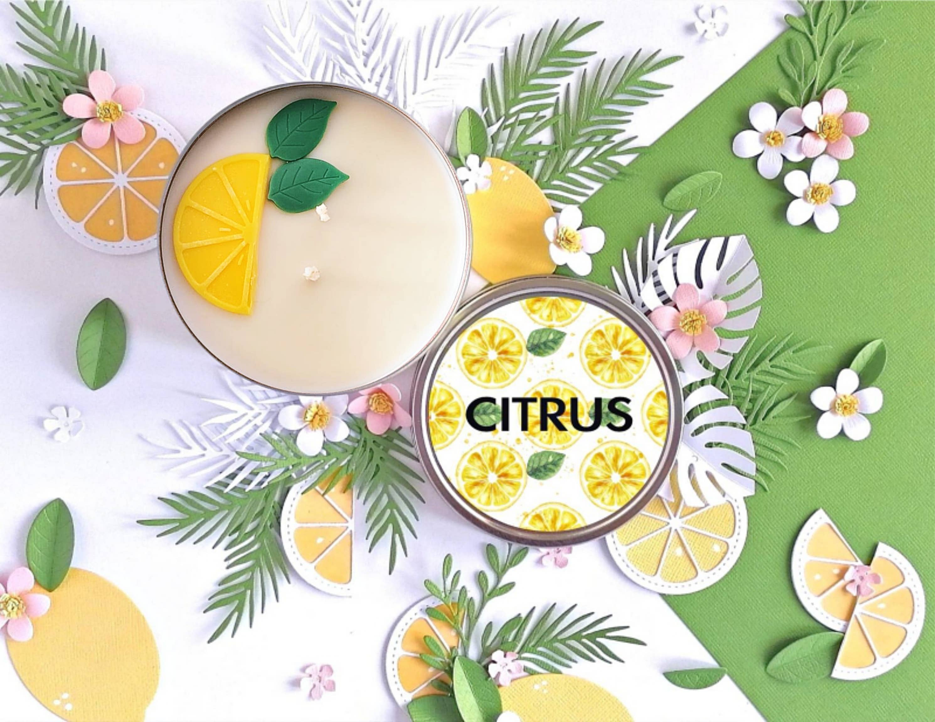 PINK FLAMINGO CANDLE – wholesale Jar/filled candle – Citrus | Signature Candle3