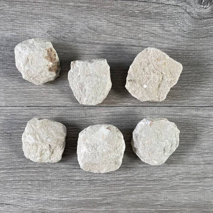 Keystone Crystals - Wholesale Decorative Tabletop Object - Fossilized Shark Tooth in Metal Cast - Wholesale Prehistoric Fossil2