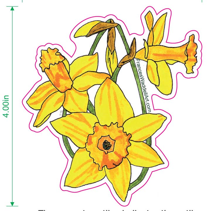Autocollant jonquilles pour la vente par Frances Waddell Art