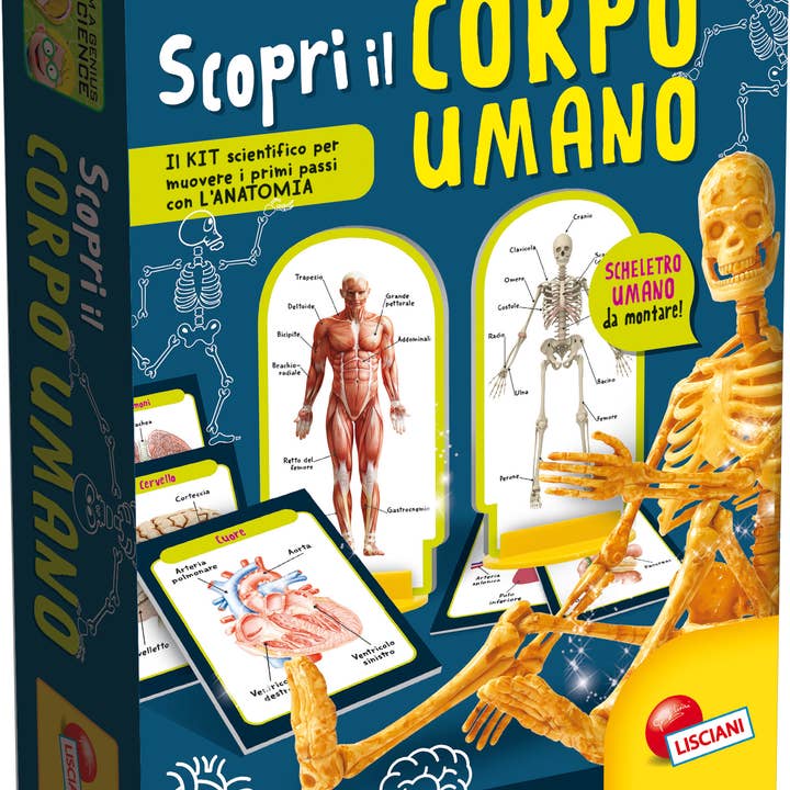 I'M A Genius Discover The Human Body for wholesale by Liscianigiochi IT