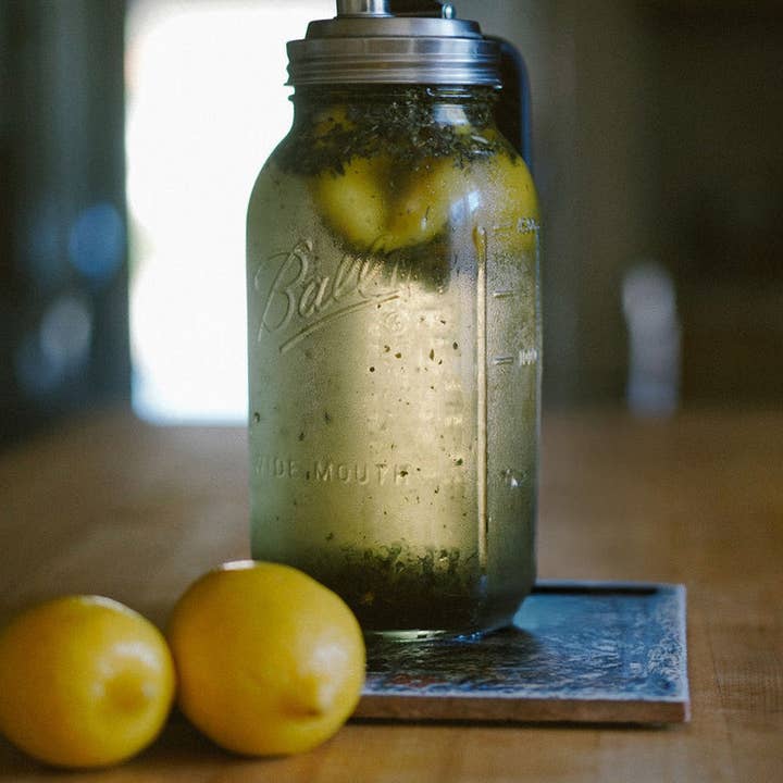 The Feral Flask - Infuser Only for wholesale by Feral Foods