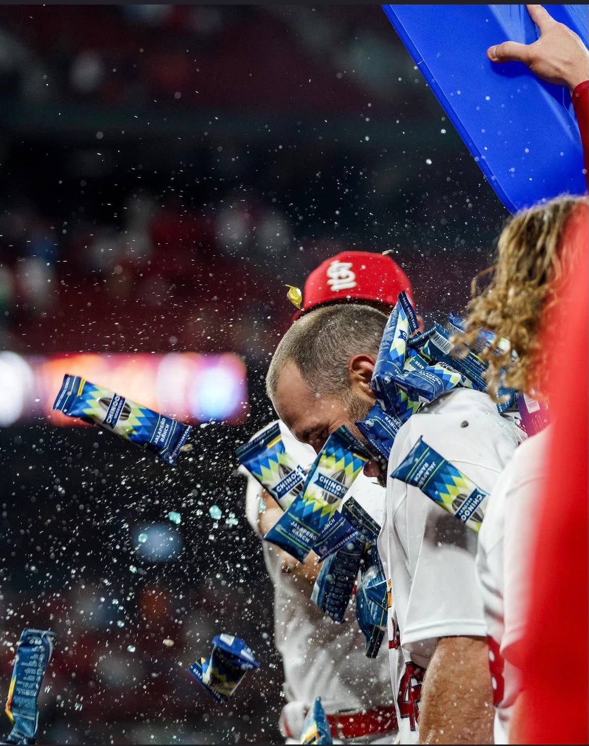 Chinook Seedery - Wholesale Seeds/Kernels - Spicy Ranch Sunflower Seeds | 4oz Packs | Diabetic Snacks1