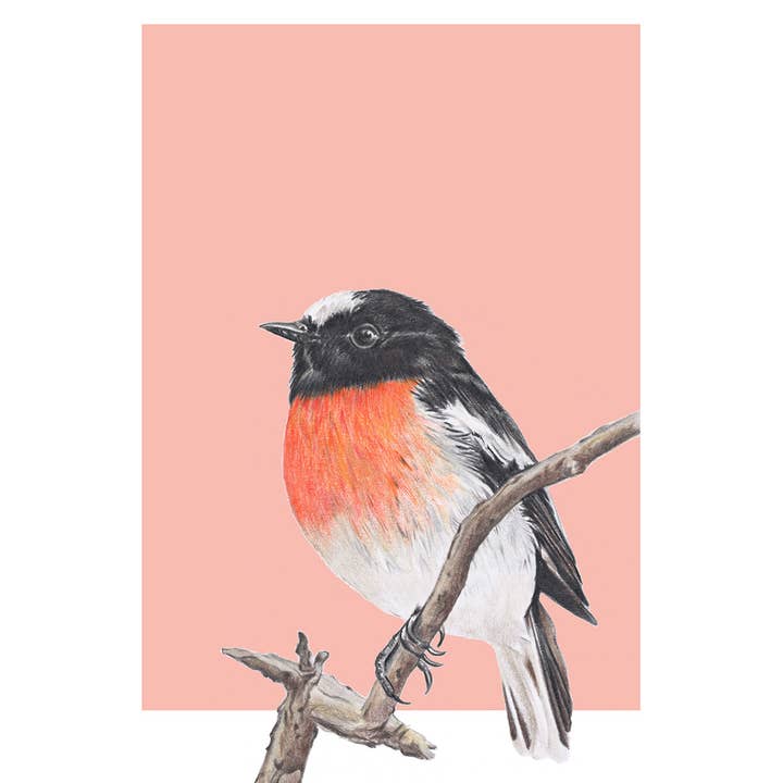 Hayley Wilson - Wholesale Art print - Scarlet Robin/peach - Fine Art Print2