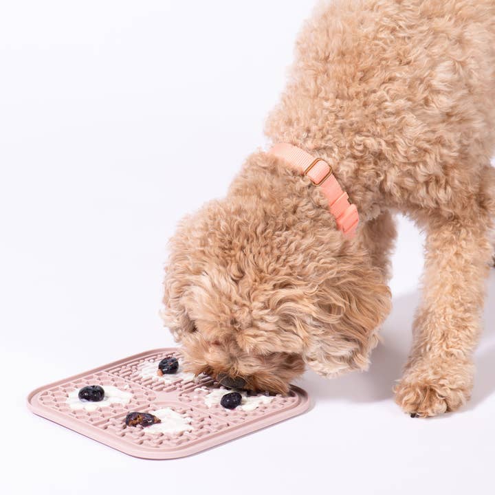 Awoo - Wholesale Pet Food Mat - Dog - SMOOSH Lick Mat - Casepack - Last Chance4