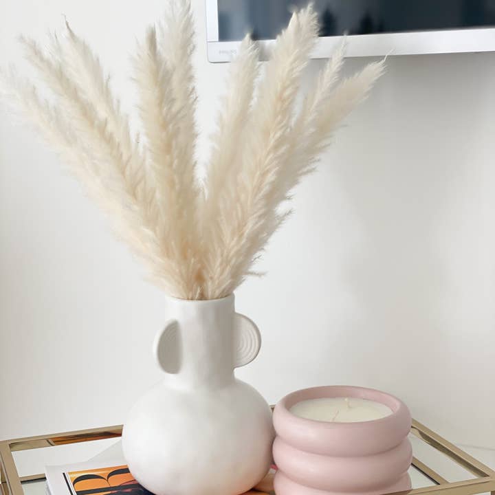 Opal Lily - Wholesale Dried/pressed flowers - Small White Pampas Grass2