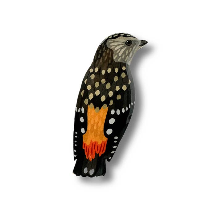Pardalote-broche met stippen voor wholesale door Selatan