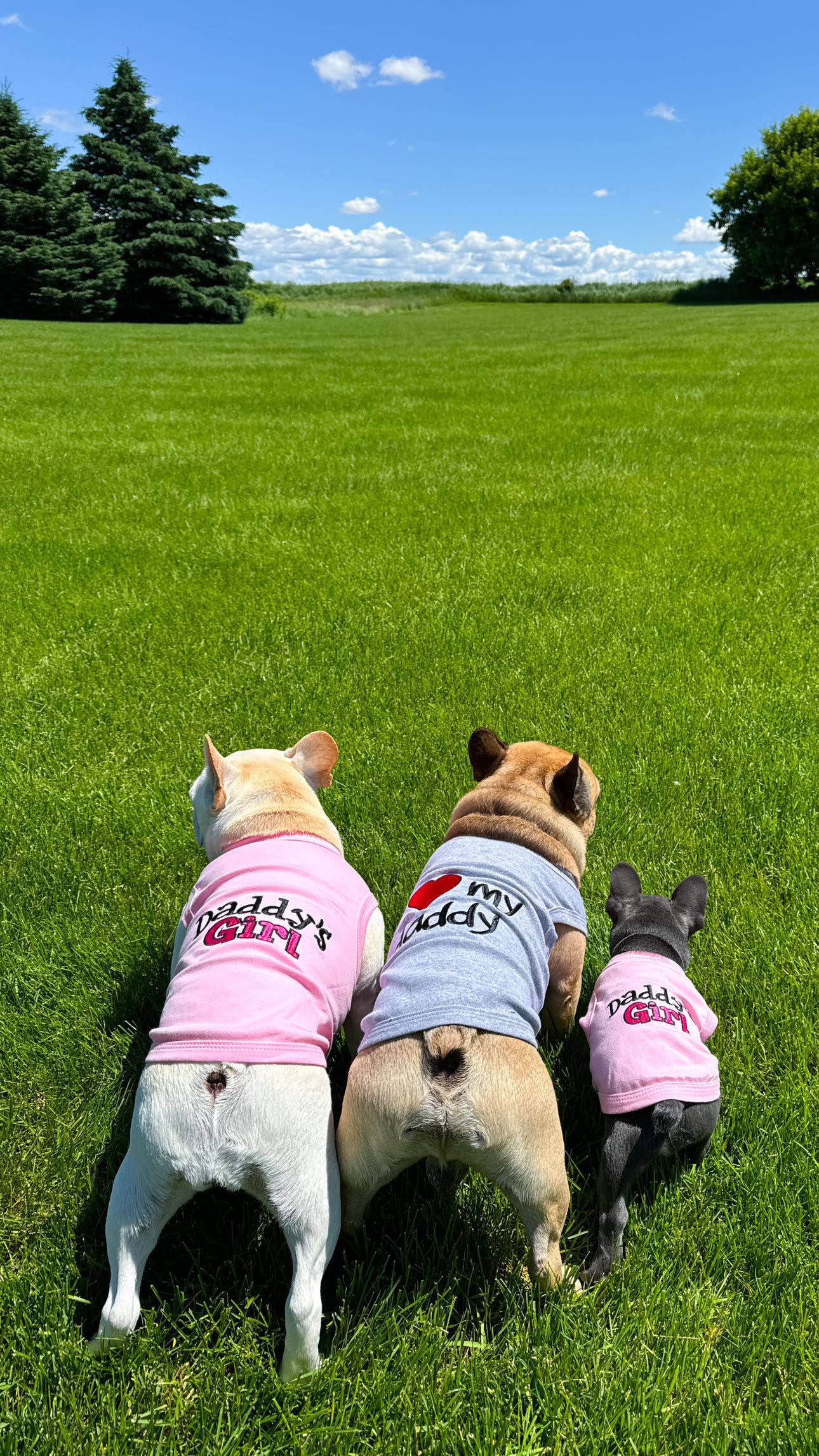 Pink Daddy’s Girl Dog T-Shirt – Adorable & Comfy Pet Apparel for wholesale on Faire4