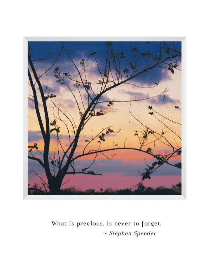 B613 - Ricordo per la vendita all'ingrosso da parte di Stonehenge Designs