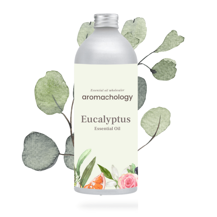 Aromachology - Wholesale Essential Oil - Organic Eucalyptus Essential Oil For Hair0