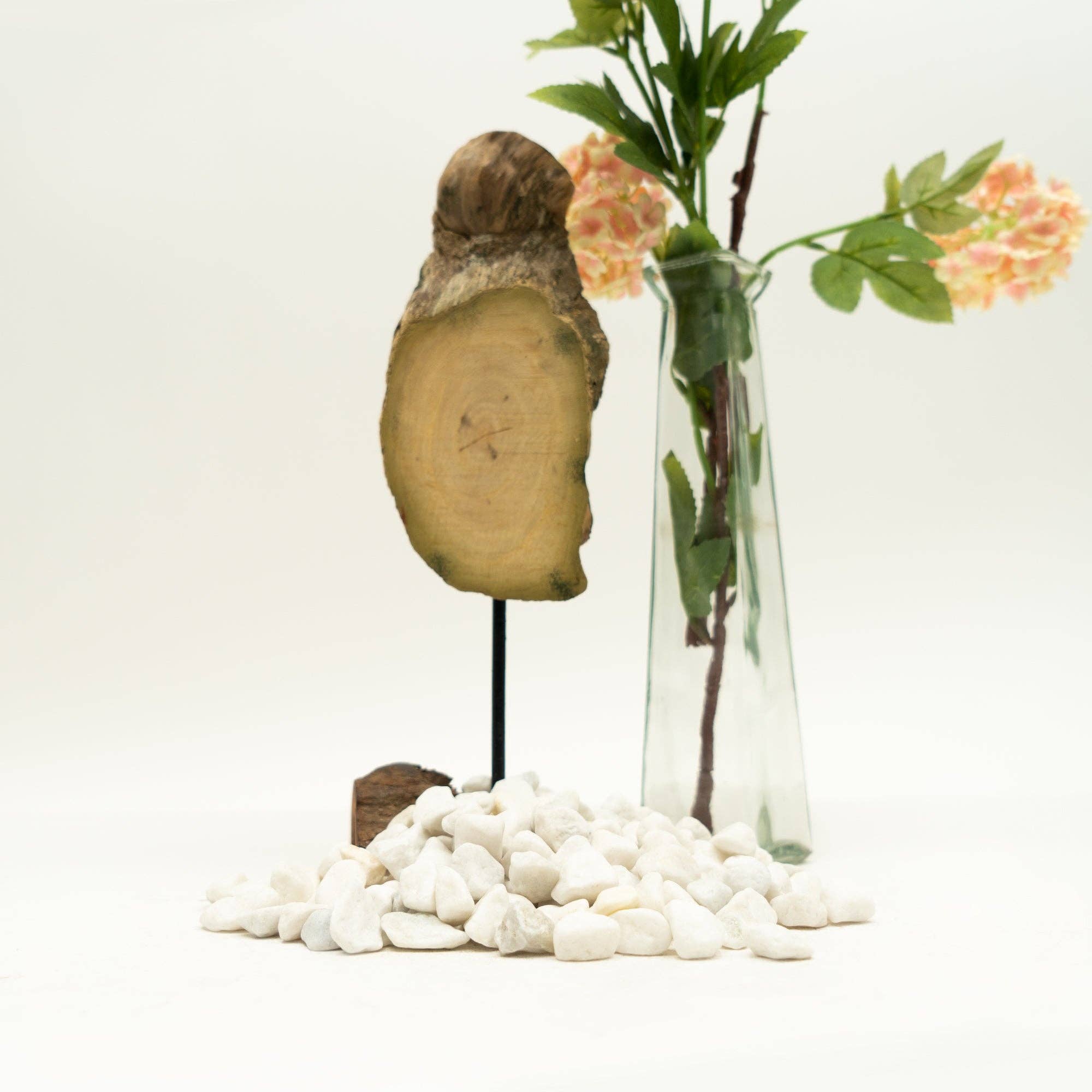 Portofino International Trading, USA - Wholesale Decorative Tabletop Object - White Pebbles - 2.2 LB. Bag2