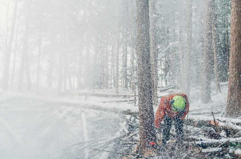House of Shokunin - Wholesale Journal/Diary - Handcrafted Wood leaf journal, Birthday Gift, Gift for Dad, Gift for Grandpa, Handcrafted Handy Journal, Handmade Journal Hand shaved Journal11