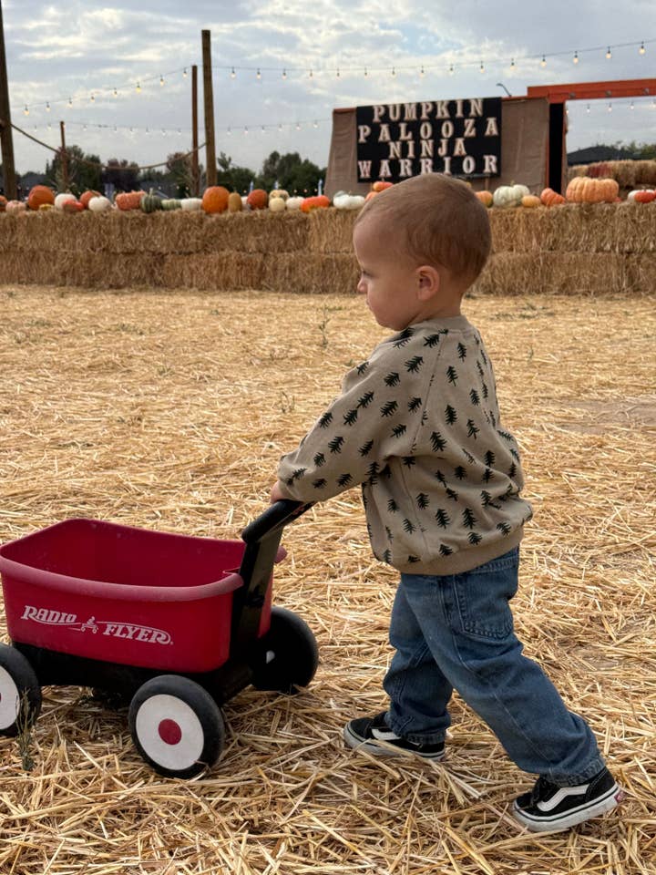 Cabin Snuggle Crewneck for wholesale by Evvie Bean's