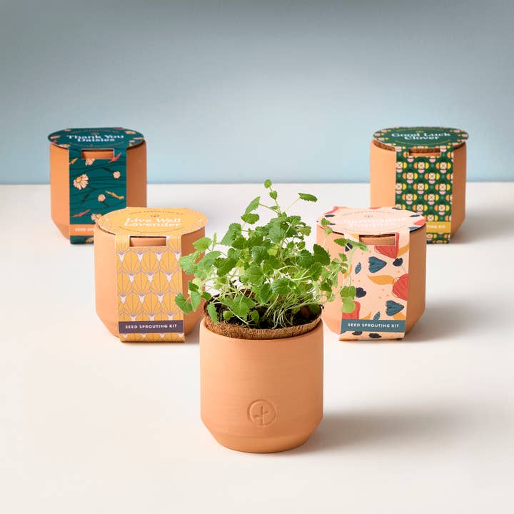 Modern Sprout - Wholesale Plant Seeds - Tiny Terracotta Grow Kits