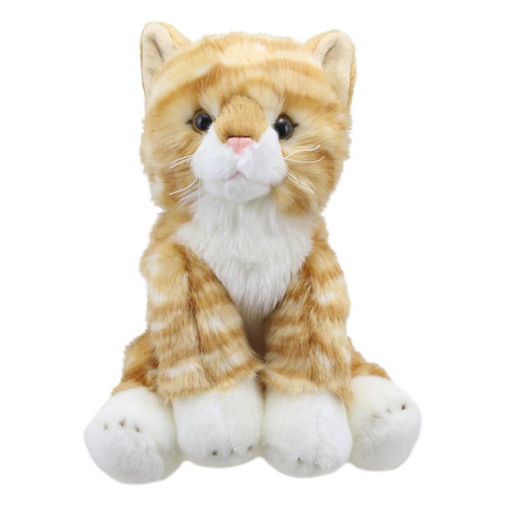 Wilberry Favourites - Cat (Ginger) for wholesale by The Puppet Company (US)