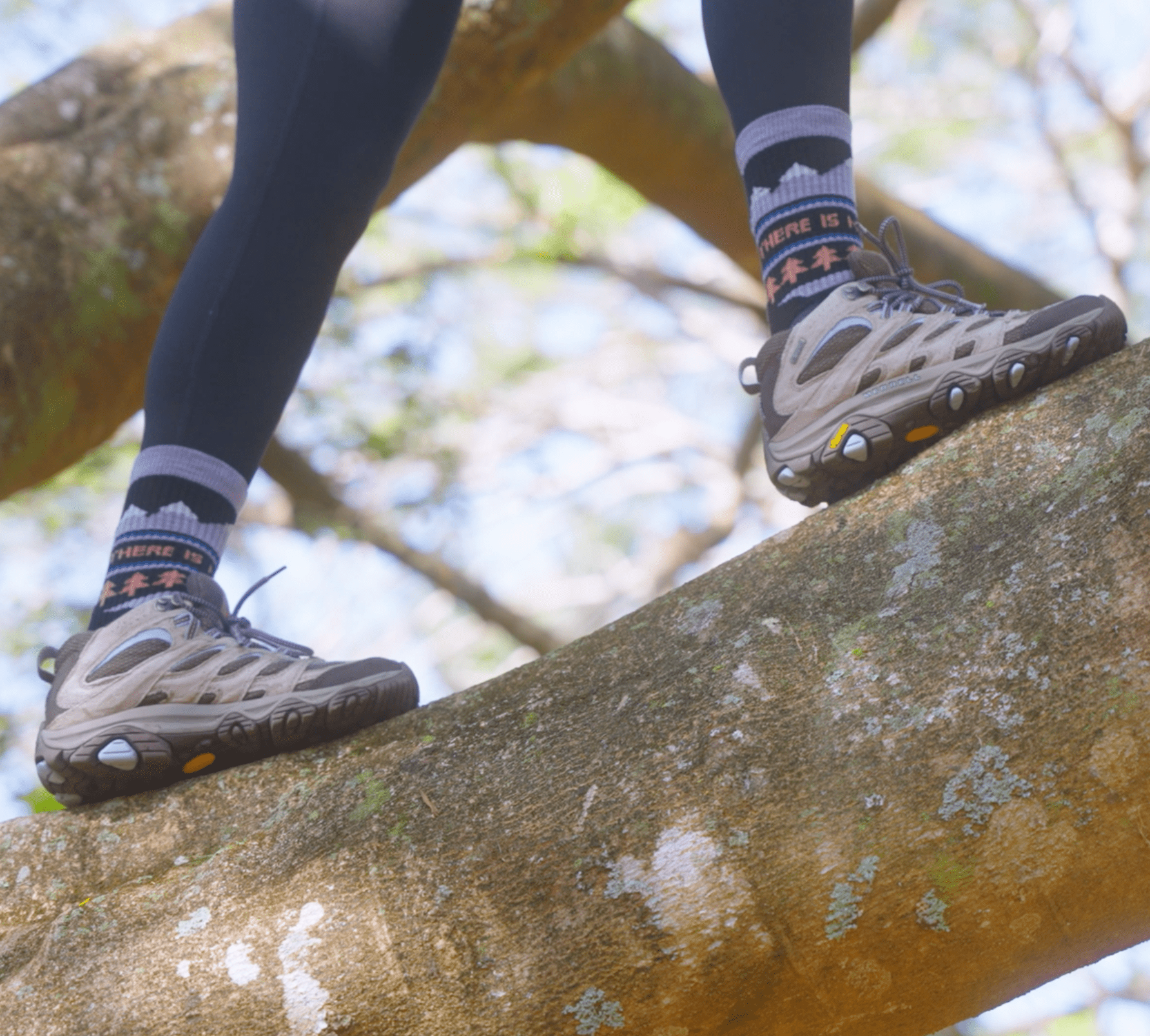 ToughCutie - Wholesale Socks - Women's - No Planet B Merino Wool Hiker Crew3