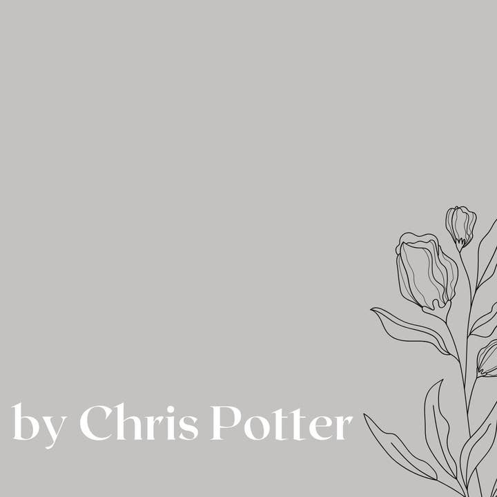 Chris Potter Art - Wholesale Postcard Set - Postcards - Van Goghy - 5 pack10