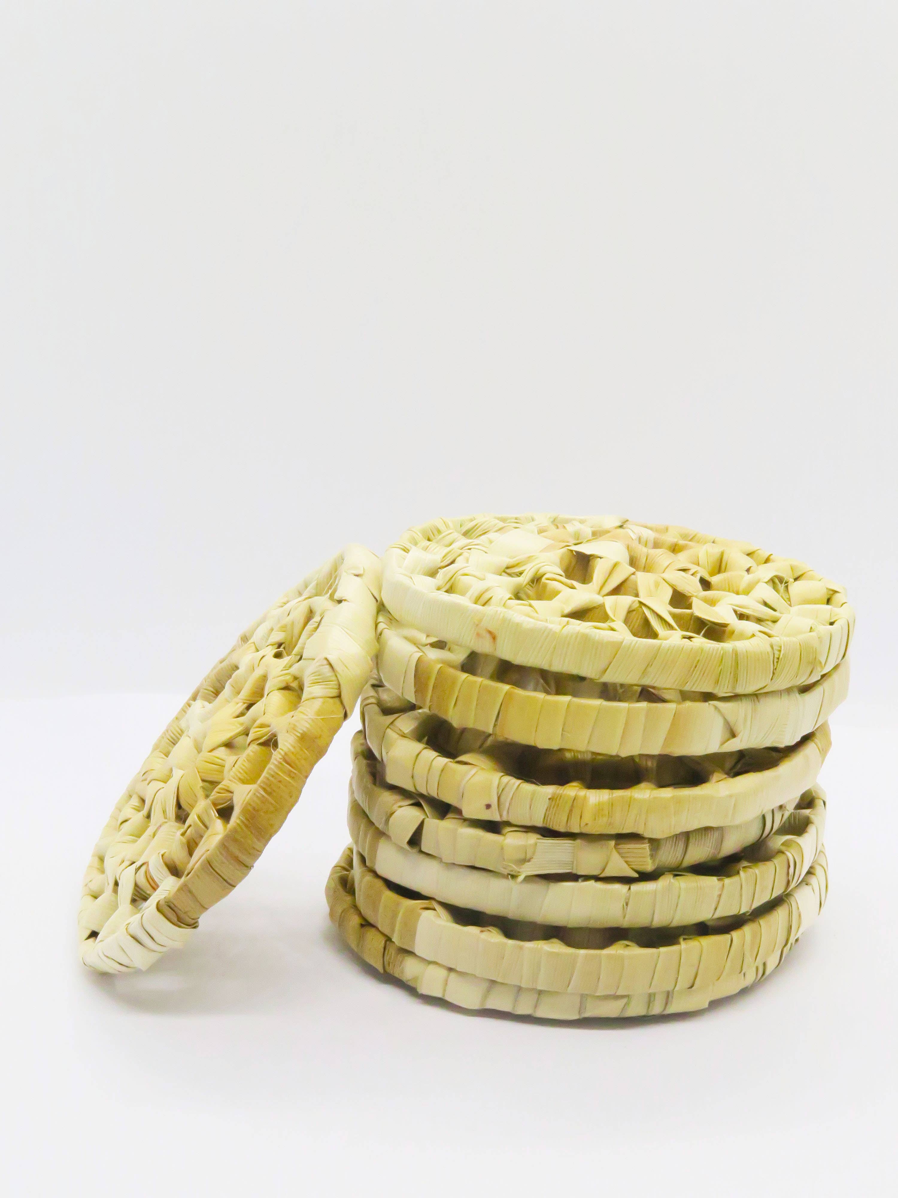 No Furries Delights – wholesale Pet toy – Not cat/dog – BULK 3.5" Palm Circles5