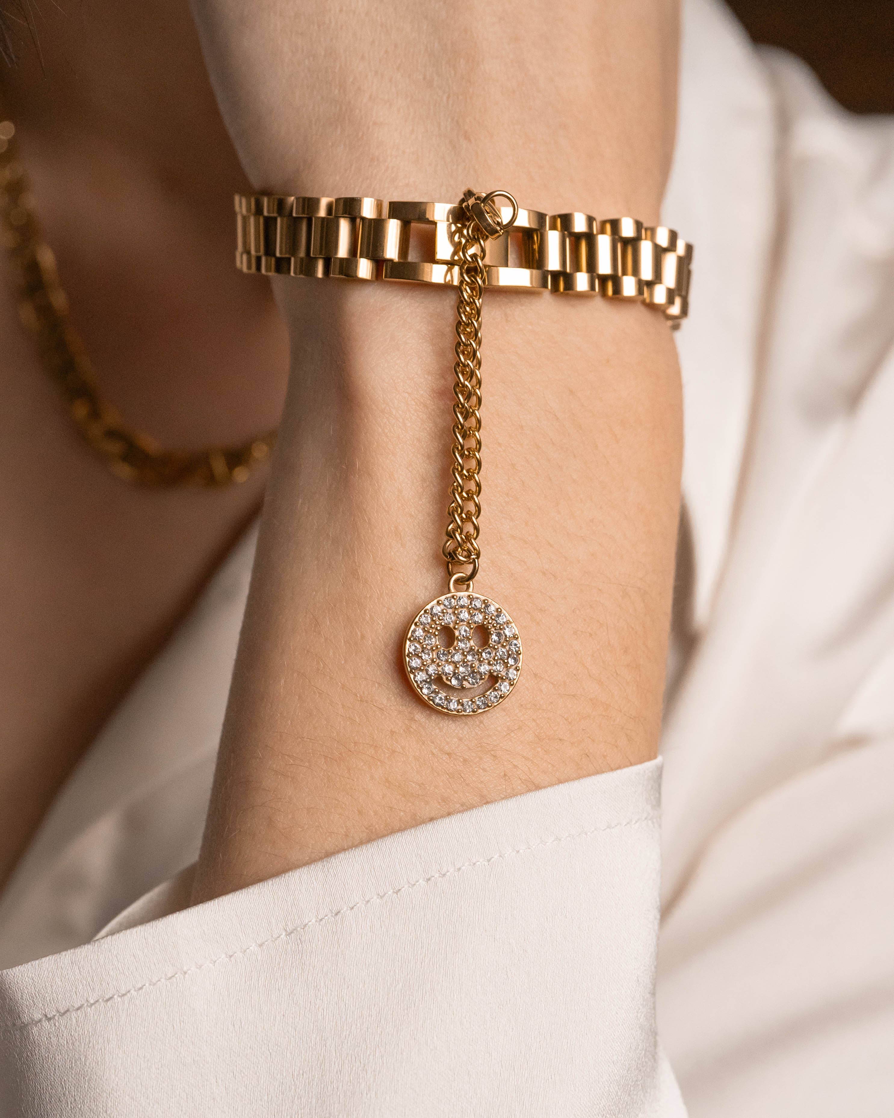 HoopLa – wholesale Link & chain bracelet –  Watch Band Link Bracelet, Bangle.  Steel Rol-X5