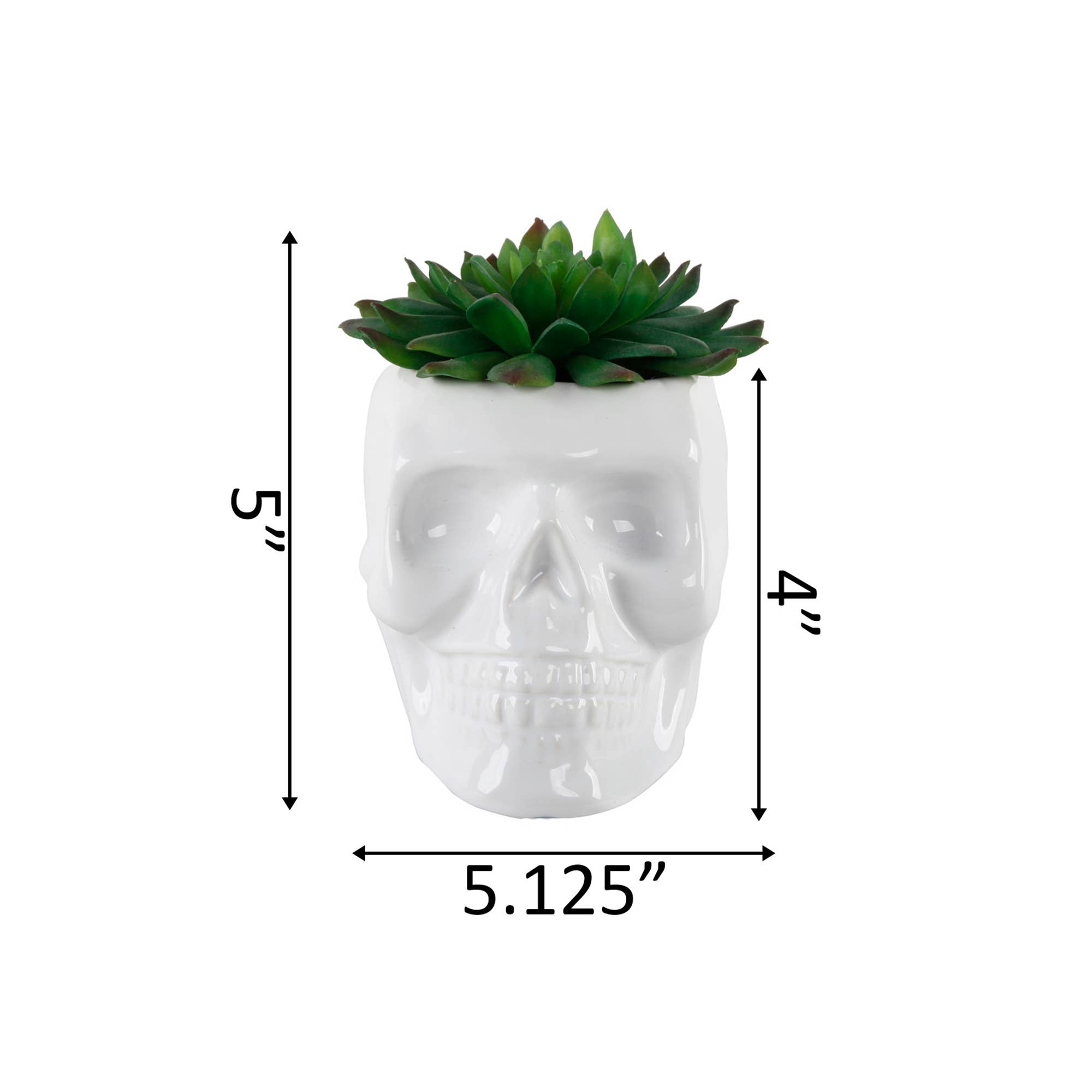 Flora Bunda Inc - Vendita all'ingrosso Piante artificiali - Vaso per piante grasse a forma di teschio3