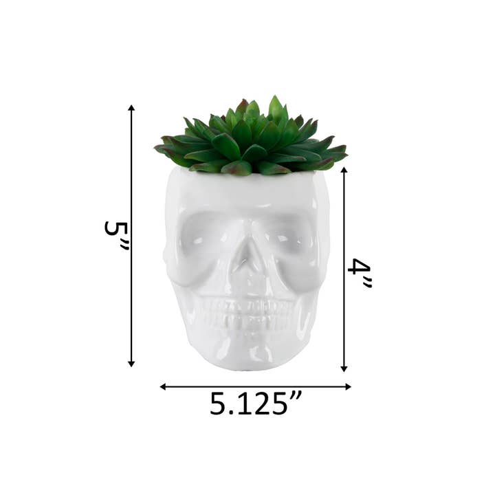 Flora Bunda Inc - Wholesale Artificial Plant - Skull Succulent Planter3
