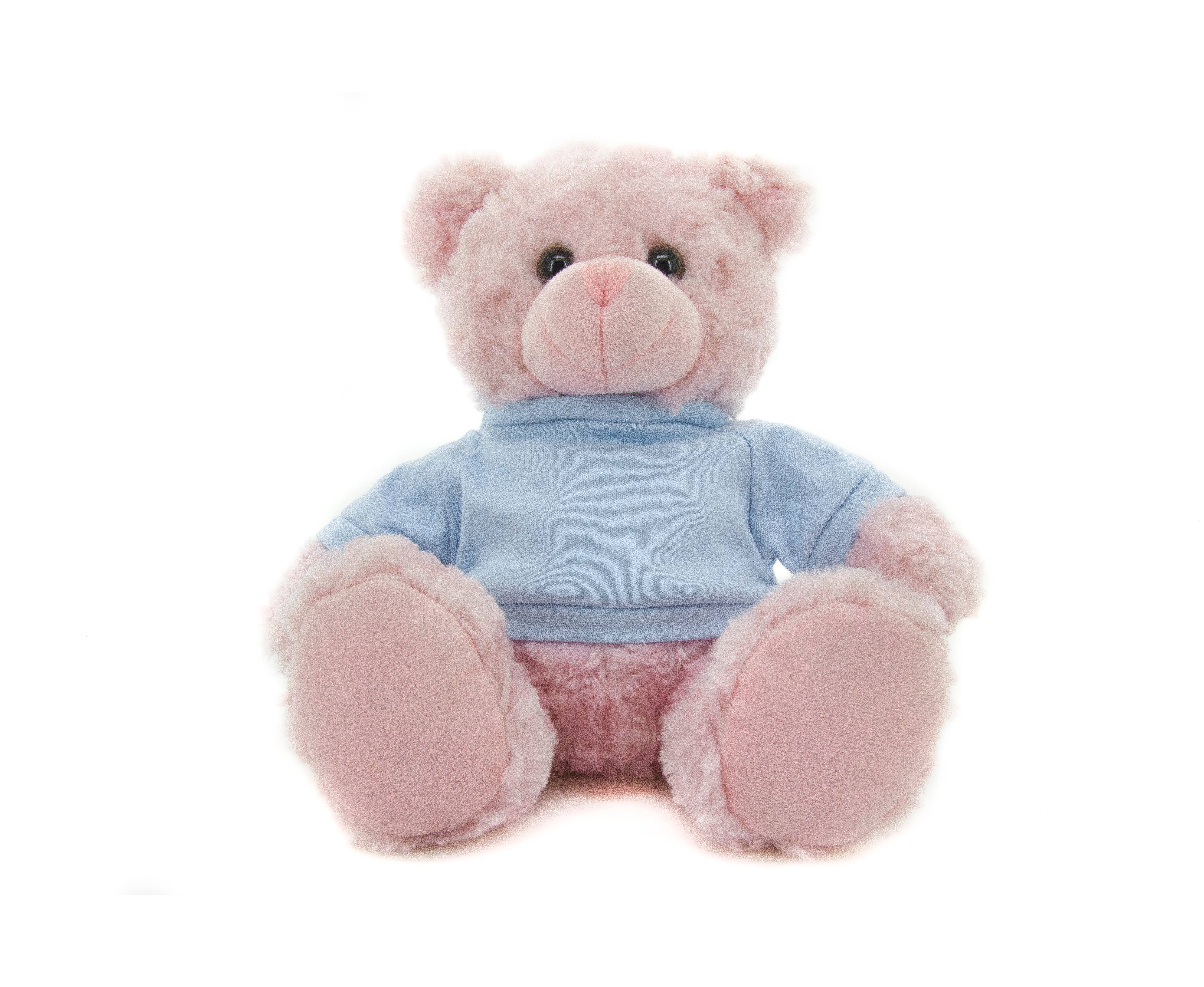 Plushland – wholesale Fyllda/plyschleksaker - Barn och baby – 12" Personlig nallebjörn i T-shirt | Anpassad plyschbjörn77