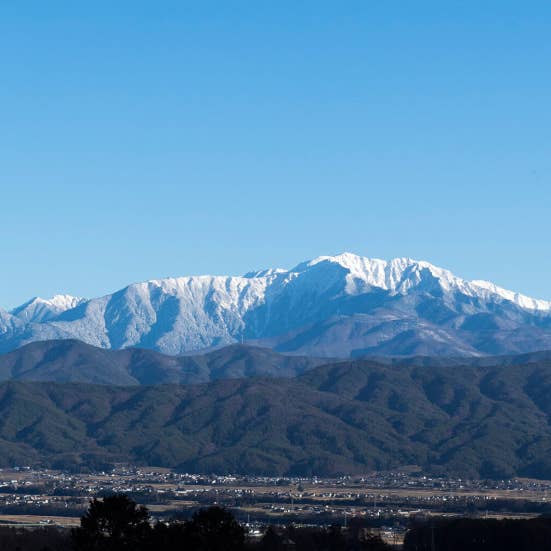 House of Shokunin - Wholesale Notepad - Handcrafted Wood leaf notepad, Birthday Gift, Gift for Dad8