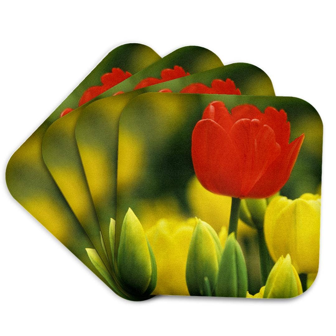 3dRose – wholesale Underlägg – 3dRose, Holland, Keukenhof Gardens. Tulpaner i blomsterträdgård., Glasunderlägg7