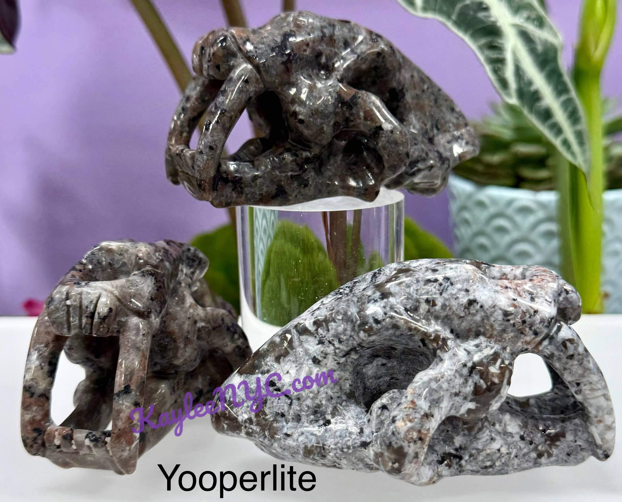 KayleeNYC - Wholesale Spiritual Stone/Crystal - 9cm Mix Natural Crystals Saber Tooth Skull Healing5