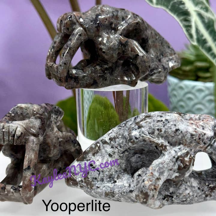 KayleeNYC - Wholesale Spiritual Stone/Crystal - 9cm Mix Natural Crystals Saber Tooth Skull Healing5
