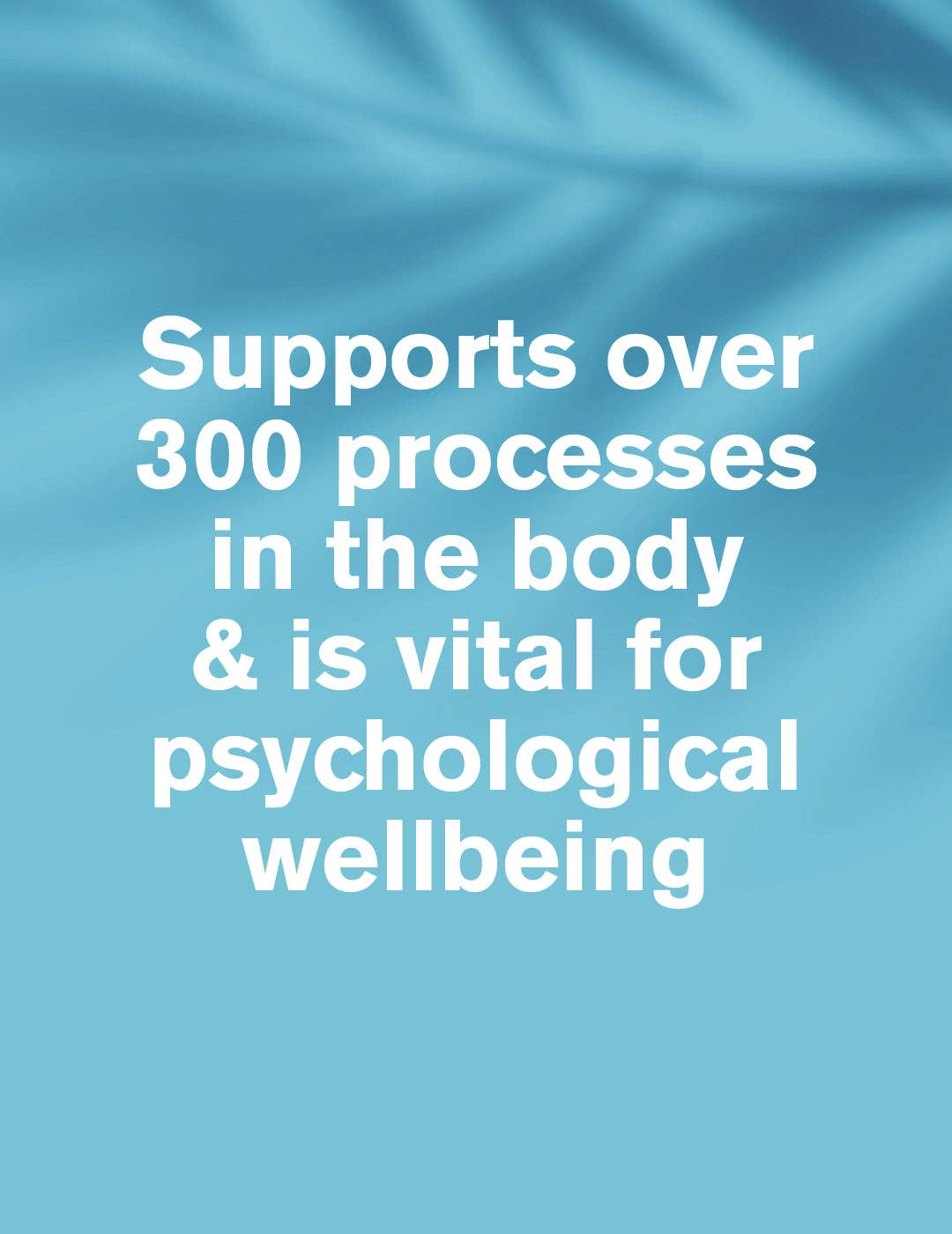 DR.VEGAN - Wholesale Oral Supplement/Vitamin - Magnesium Citrate | 400mg | 60 Capsules | Highly Absorbable2