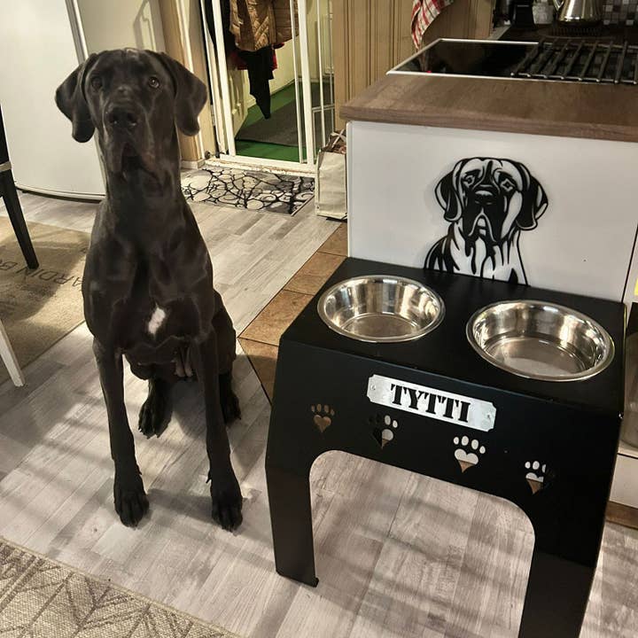 Suporte Elevado para Tigela de Cão – Tamanho XXL (Altura 55 cm) por atacado de Teraskyltit.fi