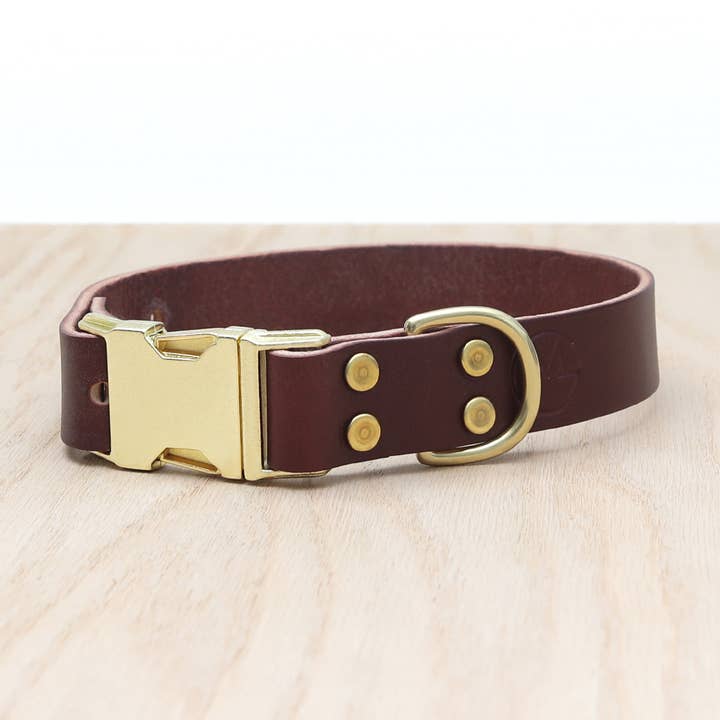 Leder Hundehalsband Side Release Buckle (3 Farben) für den Großhandel von Mimi Green