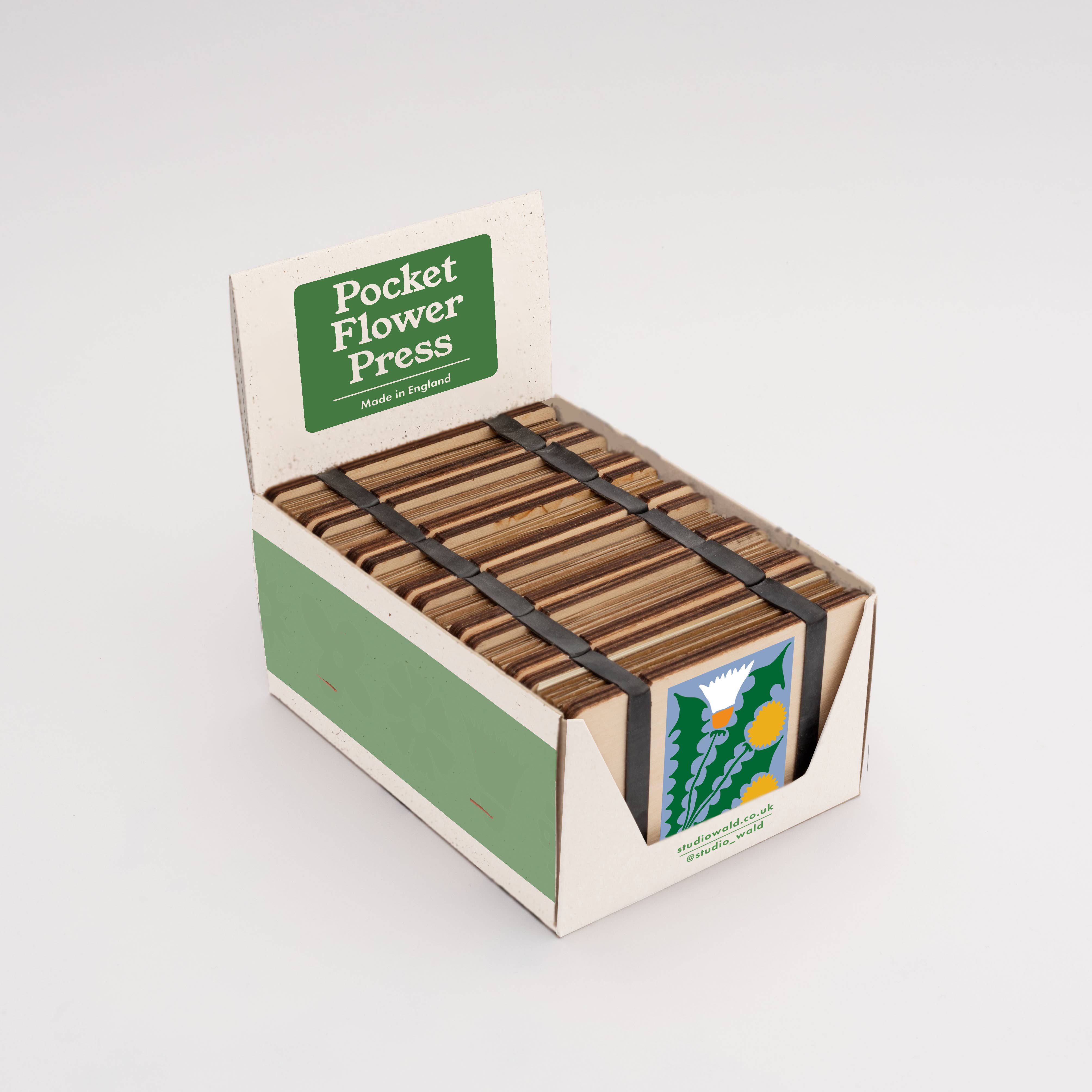 Studio Wald - UK Made – Kit de artesanato DIY por atacado – Prensa de Flores de Bolso - Dente-de-leão2