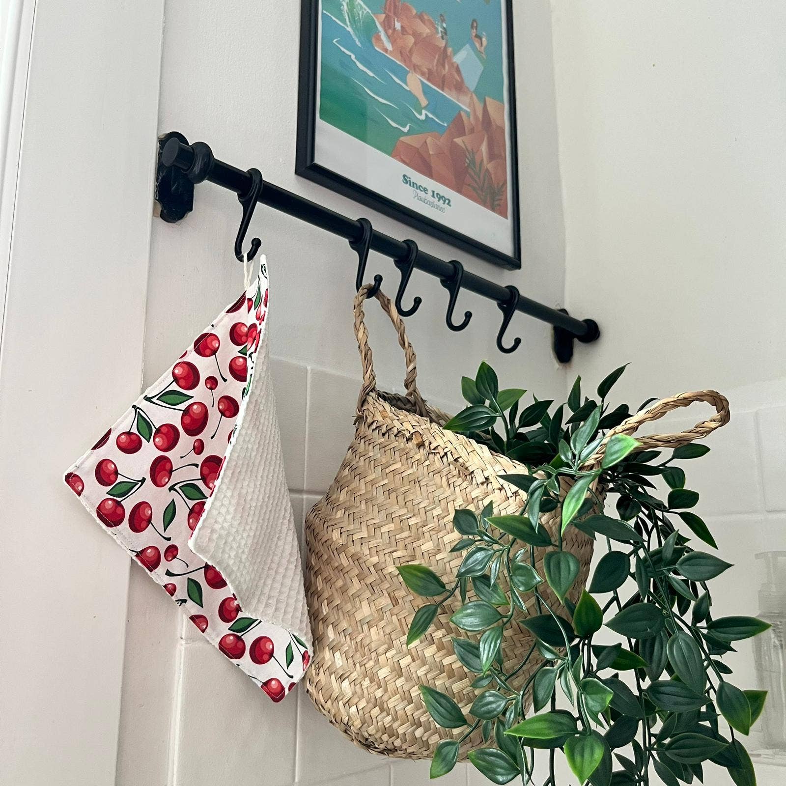 Les Mimines Montpellieraines – wholesale Dishcloth – Paper towels5